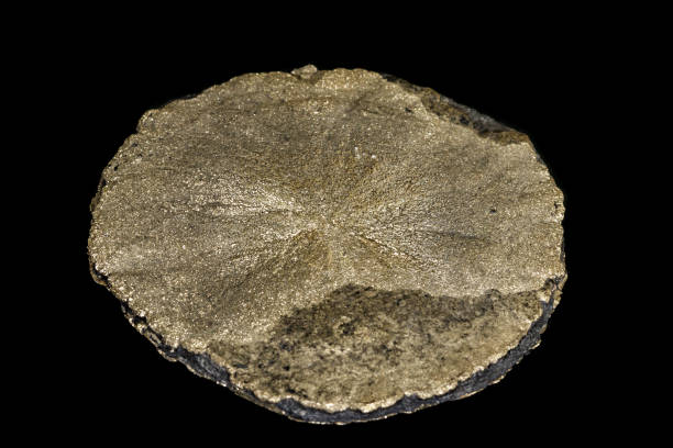 istock Macro mineral stone Pyrite on a black background 1138242873