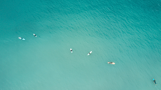 SAN DIEGO, USA: high angle view of several surfers waiting for a wave over their surf boards in La Jolla, California
