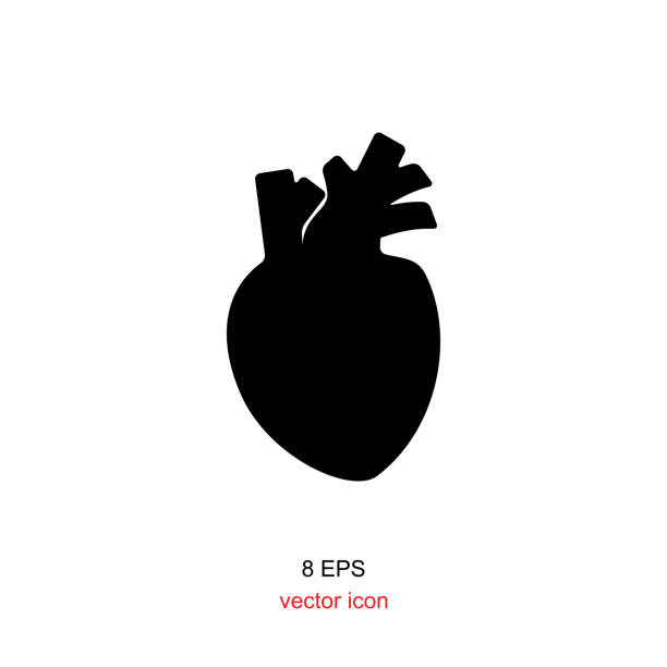 ikona ludzkiego serca - ludzkie serce stock illustrations