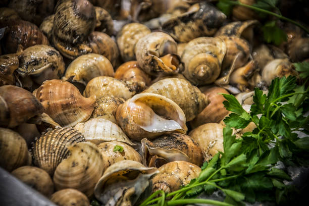 istock Sea Snails at the Marketplace 1138250608