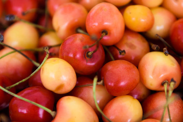 istock Cherry yellow juicy. 1138256102