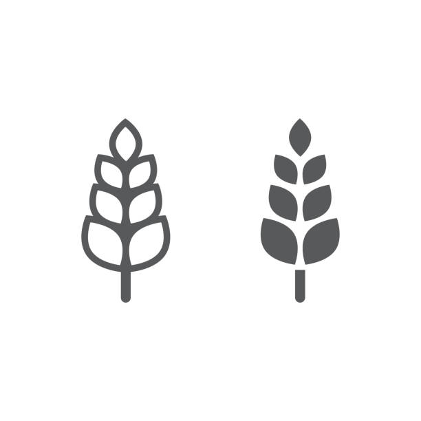 ilustrações, clipart, desenhos animados e ícones de linha do trigo e ícone do glifo, agricultura e exploração agrícola, sinal da grão, gráficos do vetor, um teste padrão linear em um fundo branco. - dough