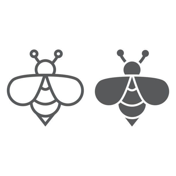 ilustrações de stock, clip art, desenhos animados e ícones de bee line and glyph icon, animal and honey, insect sign, vector graphics, a linear pattern on a white background. - abelhas