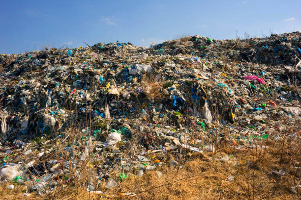 istock huge shaft of tsunami debris attacks the forest 1138256271