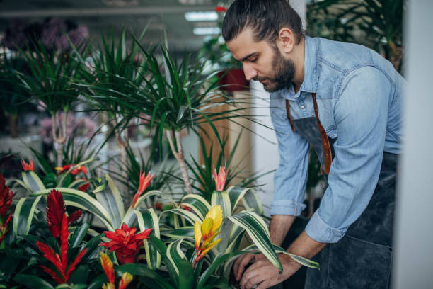istock Man working at the flower shop 1138257669