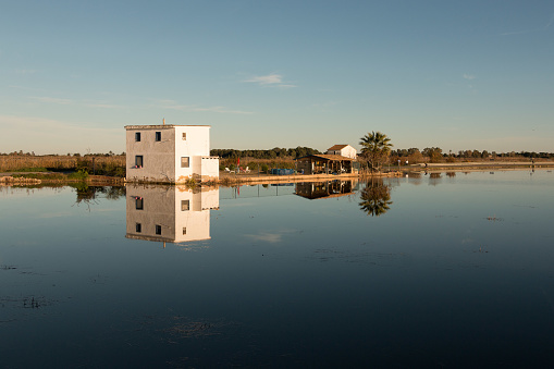 Landscape with farmhouse surrounded by rice plantations and its reflection in the water in Albufera lagoon, in Natural Park of Albufera, Valencia, Spain