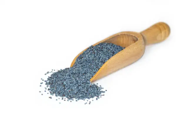 Closeup of blue poppy seeds, a plant based source of calcium, presented on a small wooden scoop