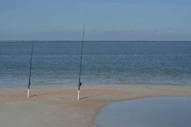 Fishing poles on Fernandina Beach, Cumberland Sound, Fort Clinch State Park, Nassau County, Florida USA Fishing poles on Fernandina Beach, Cumberland Sound, Fort Clinch State Park, Nassau County, Florida USA fernandina beach stock pictures, royalty-free photos & images