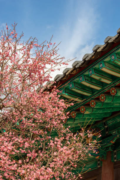istock Tongdosa Temple 1138268168