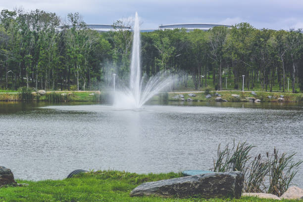 istock Lake in the forest in summer, trees and grass 1138269168