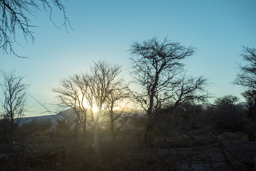 Landscape - winter sundown, trees and colourful sky