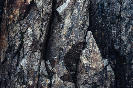 Fragment of a dark rock in the mountains, destroyed in the cracks, closeup