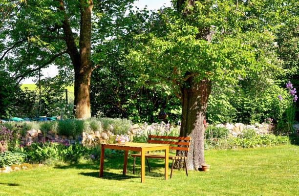 mesa de madera y banco en el jardín bajo un árbol viejo. - chair grass flower bed nobody fotografías e imágenes de stock