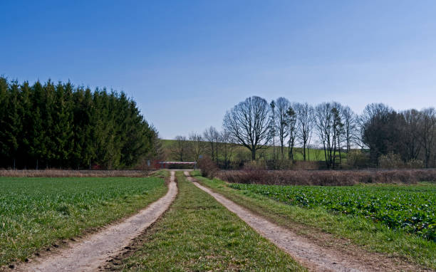 istock Germany: Railroad crossing on a dirt road in Eastern Thuringia in spring 2019 1138275651