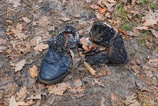 trash from two burnt old black shoes on the ground in dry leaves in nature