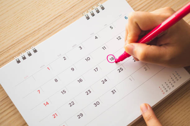 istock Female Hand with pen mark on calendar date 1138281674
