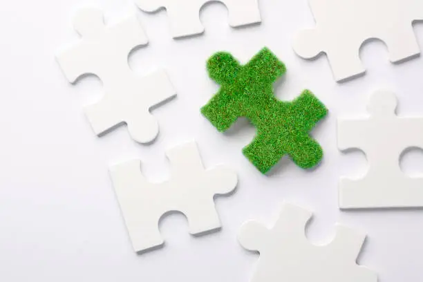 Jigsaw puzzle piece made of green grass.