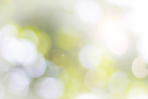 istock Natural spring blurred green leaves background. 1138288467