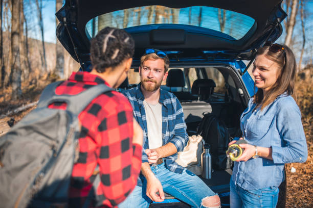 istock Friends standing in a forest, next to a car and talking 1138288734