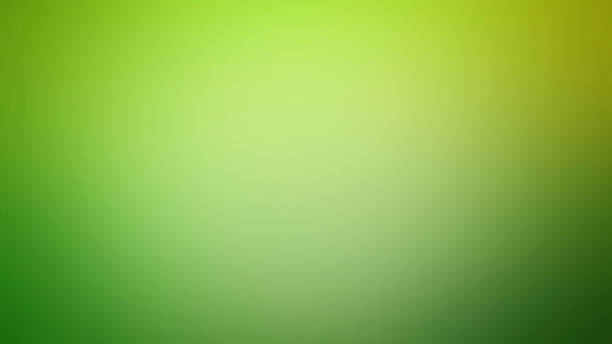 Light Green Defocused Blurred Motion Abstract Background Light Green Defocused Blurred Motion Abstract Background, Widescreen, Horizontal motion picture screen stock pictures, royalty-free photos & images