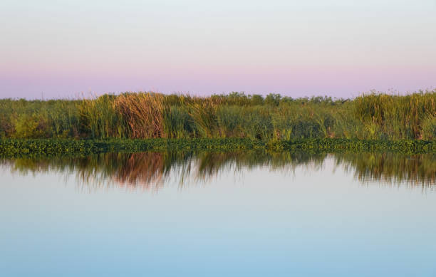 istock Sunrise over a Florida Wetlands 1138289593