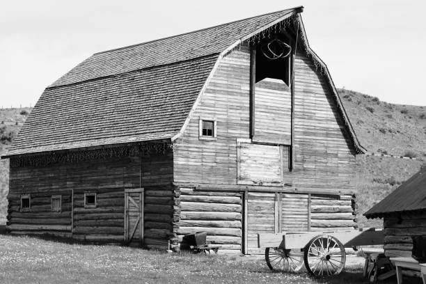 istock Black and White Shot of Old Barn 1138289640