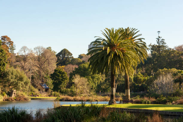 istock City Gardens During Afternoon Sunset 1138297721
