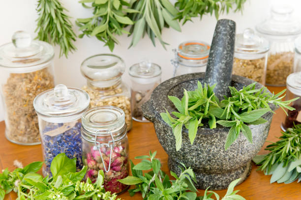 tarros de hierbas boticarios, hierbas frescas y mortero de piedra y mortero - mortar and pestle wood healthcare and medicine jar fotografías e imágenes de stock