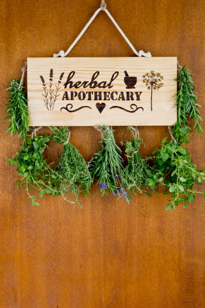 istock Herbal Apothecary herb dryer, with fresh hanging herb bundles 1138299988