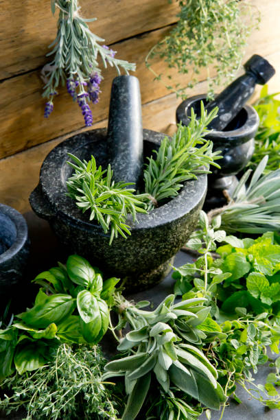 istock Mortars and Pestles with fresh herbs against rustic background 1138300010