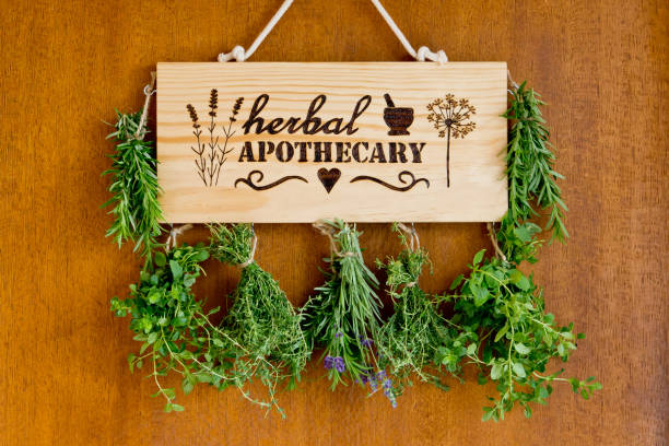 istock Herbal Apothecary herb dryer, with fresh hanging herb bundles 1138300167