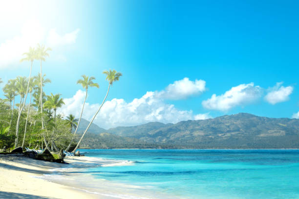 istock Caribbean landscape, natural Wallpapers 1138301182