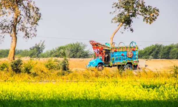 istock The local traditional truck 1138301849