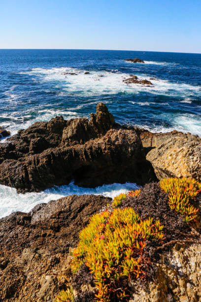 coastal california