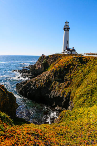 istock Pigeon Point Lighthouse in Pescadero 1138301983