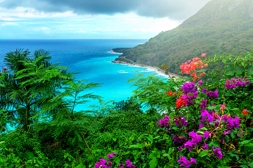 paradise vacation, delightful Caribbean landscape, green mountains, bright flowers and turquoise sea