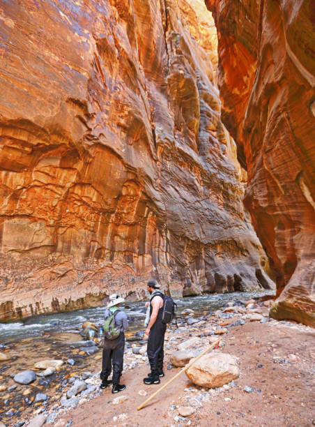 schwangere frau wandert mit ehemann in zion-narren - zion narrows stock-fotos und bilder