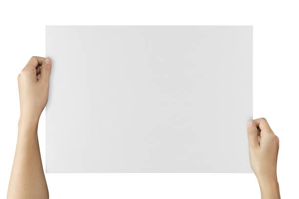 istock sheet of paper. 1138303976