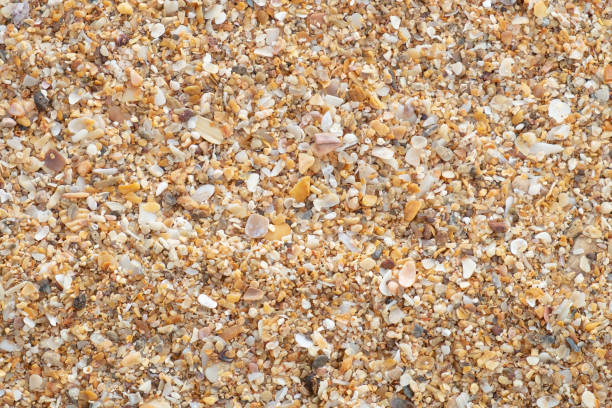 istock Small rock on the beach. sandy Soil pattern texture/background, The cracked earth/ground in drought, Soil texture and dry mud, Dry land. 1138305326
