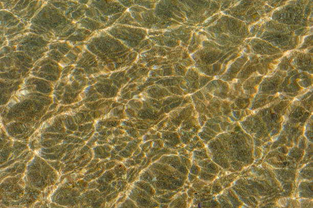 istock Background of the Red sea water surface and sandy bottom 1138310340