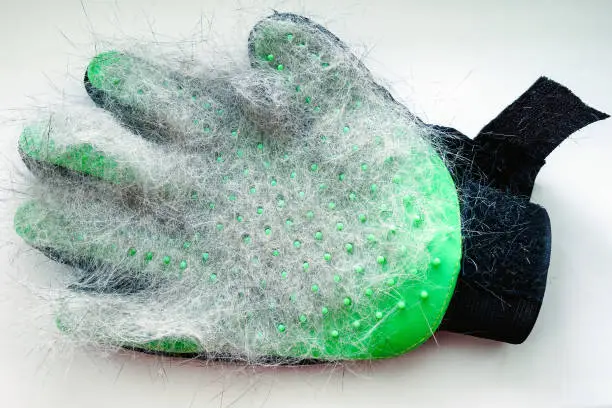 Photo of white and gray hair of cat on green glove after grooming
