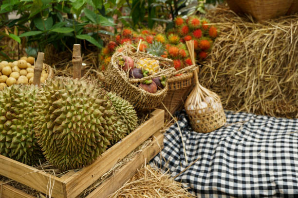 durian in wooden box , rambutan , mangosteen, tropical fruit  background with copyspace.
