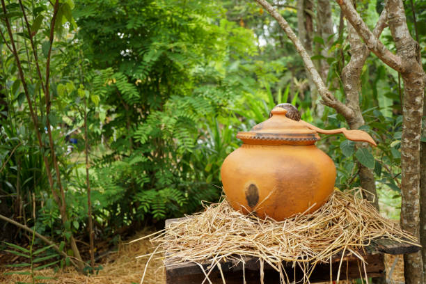 istock Clay pot with water for drinking on nature background with copyspace. 1138319005