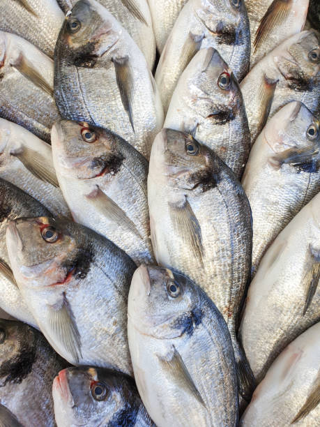 istock Bream fish on ice at market 1138321358