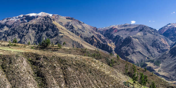 cime delle ande peruviane - block the americas mountain peak plateau foto e immagini stock