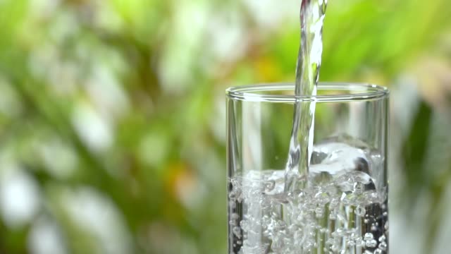 Slow-motion: Pouring water into a drinking glass on lush foliage leaf background.