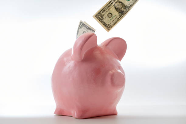 istock Pink piggy bank dollars money on a white studio background 1138325766