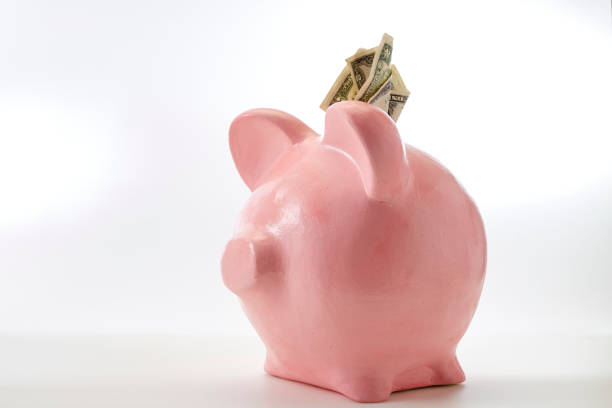 istock Pink piggy bank dollars money on a white studio background 1138325792