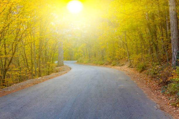 istock autumn asphalt road 1138327134
