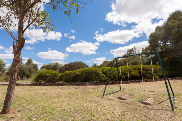 istock Two empty swings on grass with a small tree in the foreground under a blue sky with some white clouds 1138328103